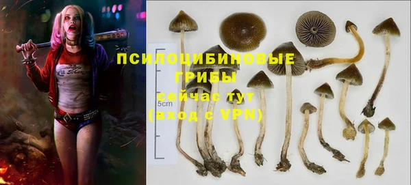 крисы Беломорск
