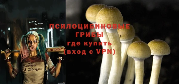 крисы Беломорск