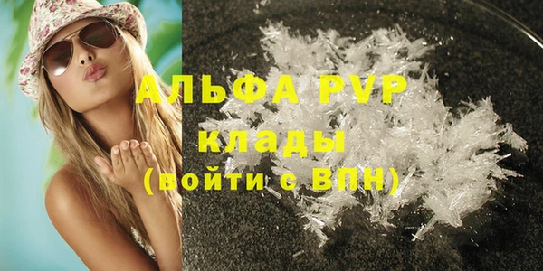 ГАЛЛЮЦИНОГЕННЫЕ ГРИБЫ Белокуриха