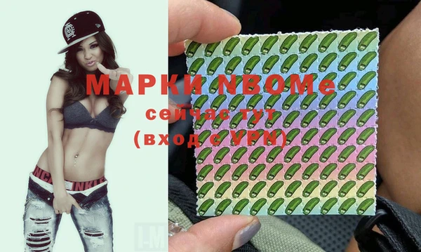 ГАЛЛЮЦИНОГЕННЫЕ ГРИБЫ Белокуриха