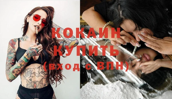 ГАЛЛЮЦИНОГЕННЫЕ ГРИБЫ Белокуриха