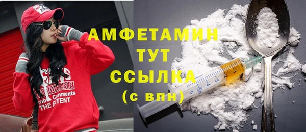 ГАЛЛЮЦИНОГЕННЫЕ ГРИБЫ Белокуриха