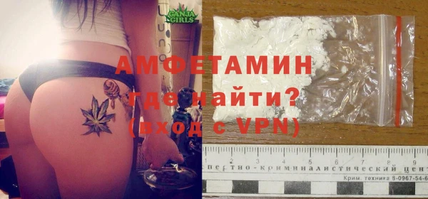 ГАЛЛЮЦИНОГЕННЫЕ ГРИБЫ Белокуриха
