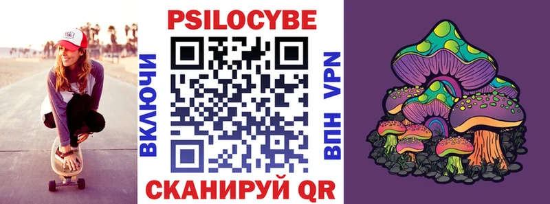 blacksprut как войти Гай Галлюциногенные грибы Cubensis