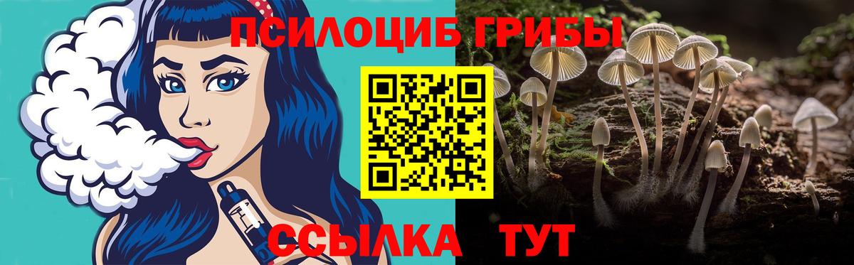 Псилоцибиновые грибы MAGIC MUSHROOMS  Вход с VPN  Псилоцибиновые грибы Magic Shrooms  Гай 